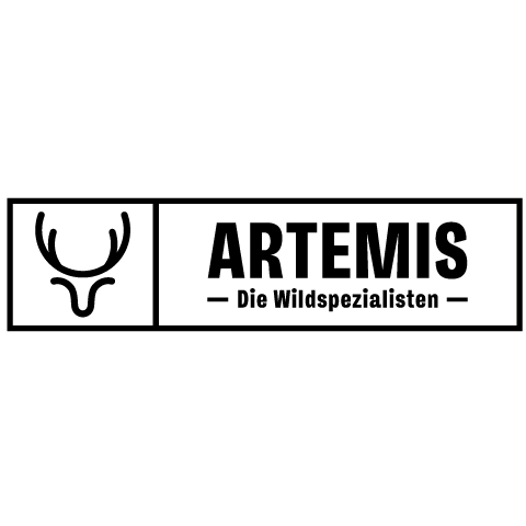 artemis_gmbh___co__kg_logo