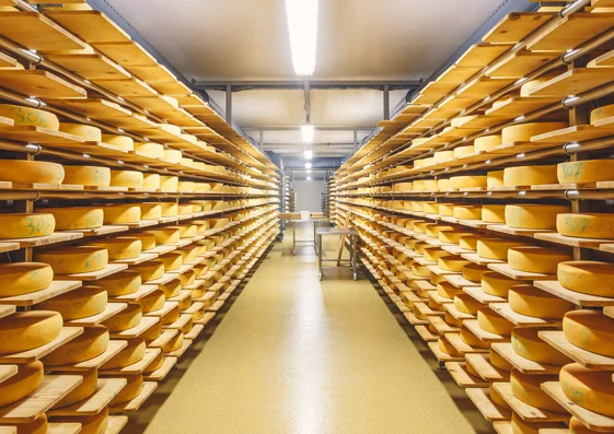 Cheese storage_article